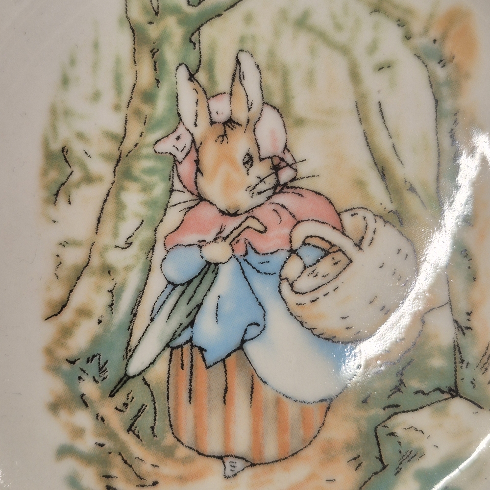 Peter Rabbit Ceramic Bowl and Plate Set - Picture 4 of 8